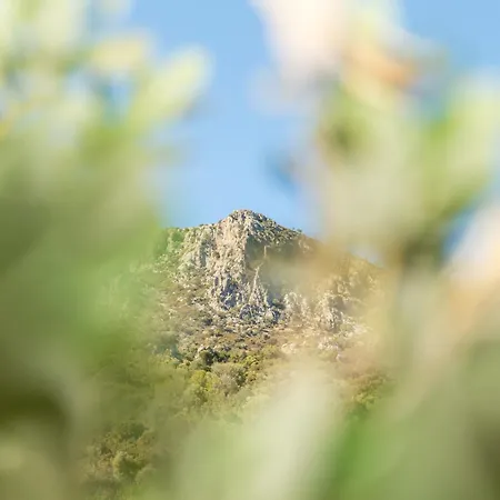 Sa Dommu E Mare Dom wakacyjny