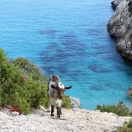 Sa Dommu E Mare *