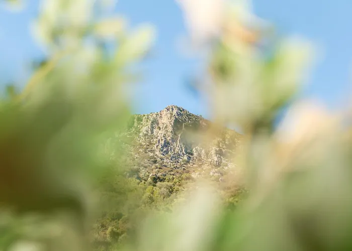 Sa Dommu E Mare Holiday home